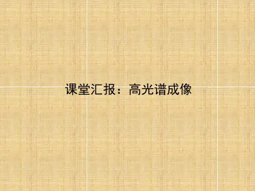 高光谱成像ppt课件