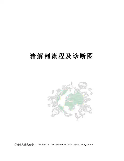 猪解剖流程及诊断图