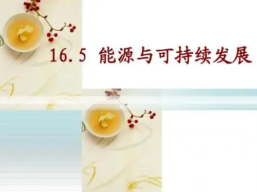 17.5能源与可持续发展2