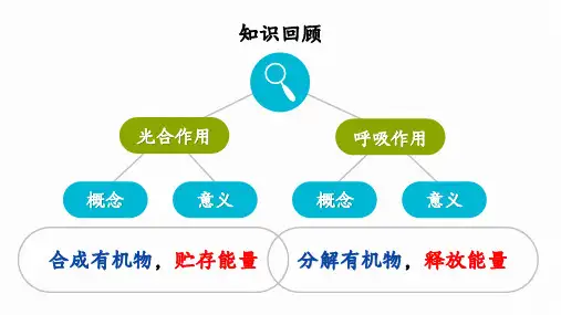 苏教版生物七年级上册3.6.5光合作用和呼吸作用原理的应用-课件
