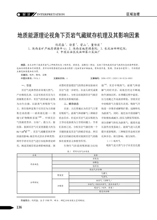 地质能源理论视角下页岩气藏赋存机理及其影响因素