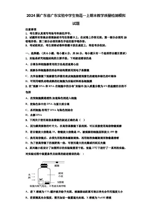 2024届广东省广东实验中学生物高一上期末教学质量检测模拟试题含解析
