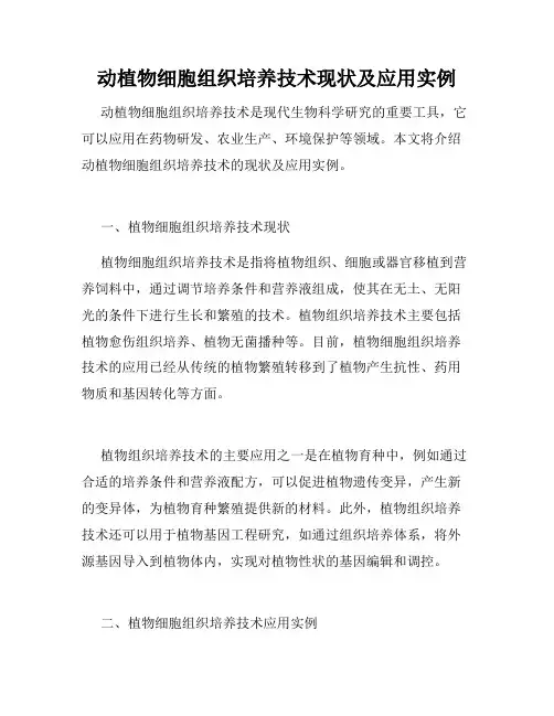 动植物细胞组织培养技术现状及应用实例