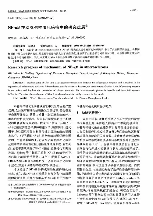 NF-κB在动脉粥样硬化疾病中的研究进展