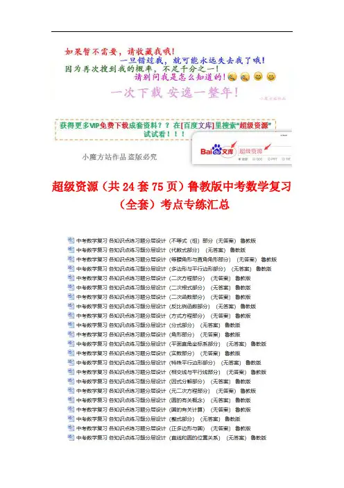 超级资源(共24套75页)鲁教版中考数学复习(全套)考点专练汇总