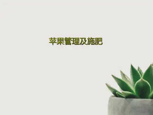 苹果管理及施肥32页PPT