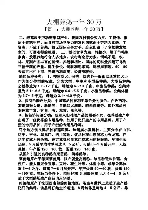 大棚养鹅一年30万
