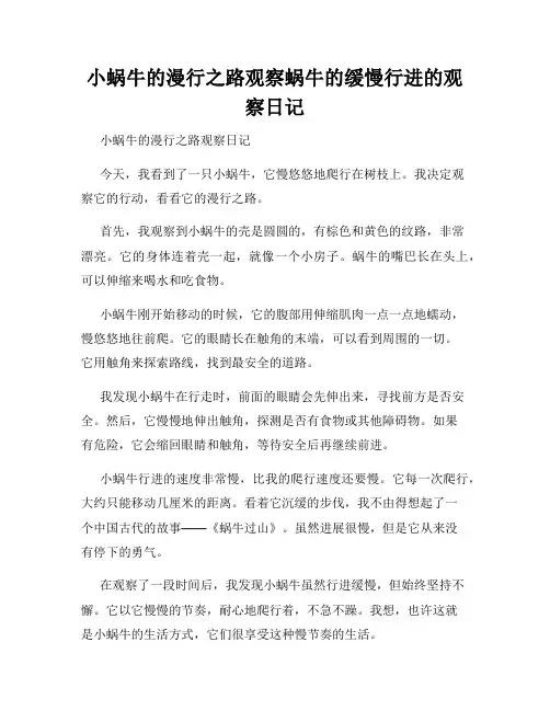 小学三年级作文小蜗牛的漫行之路观察蜗牛的缓慢行进的观察日记