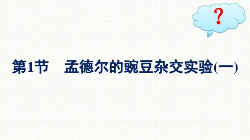 人教版高中生物学必修2精品课件 第1章 第1节 第1课时 孟德尔一对相对性状杂交实验的过程及解释