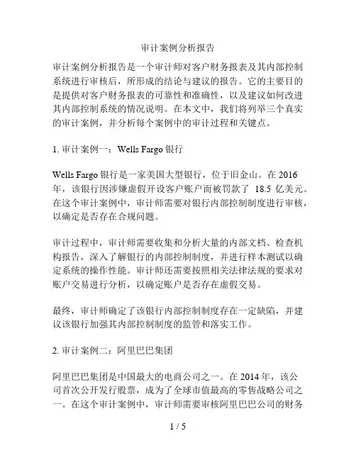 审计案例分析报告