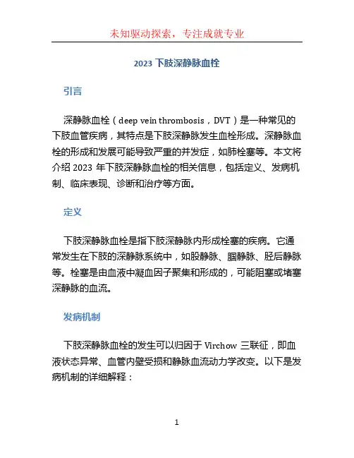 2023下肢深静脉血栓