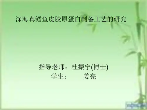 深海真鳕鱼皮胶原蛋白