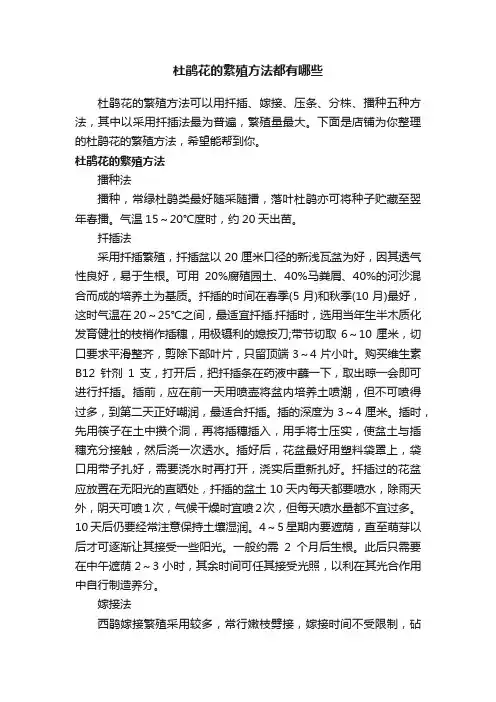 杜鹃花的繁殖方法都有哪些