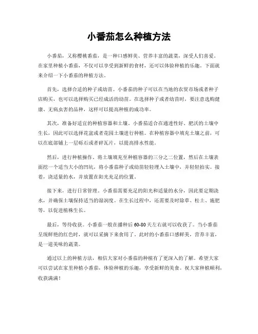 小番茄怎么种植方法