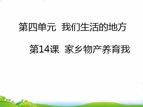 【部编版】道德与法治《家乡物产养育我》PPT-上课课件1