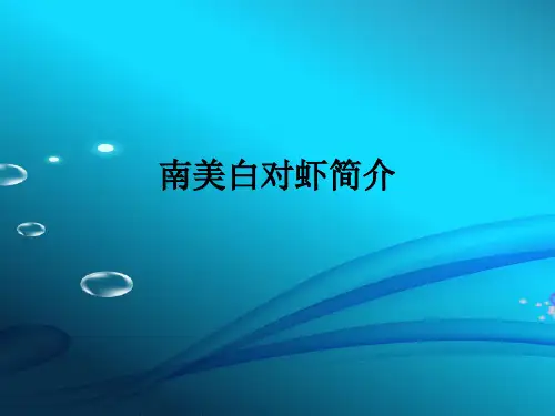 南美白对虾简介