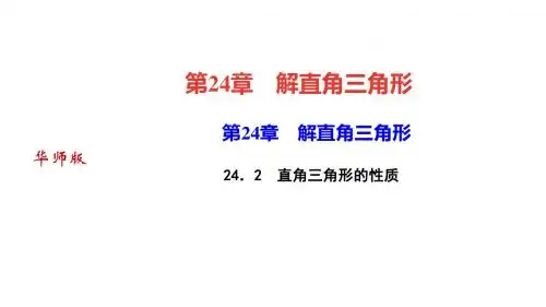 新华东师大版数学九上课件：24.2 直角三角形的性质