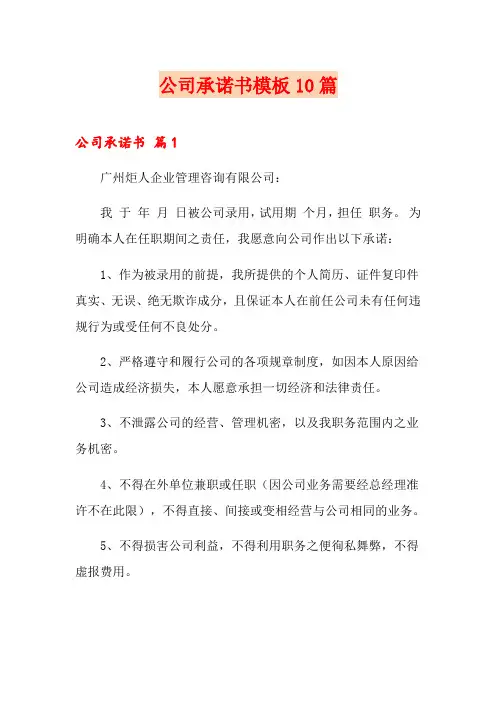 公司承诺书模板10篇