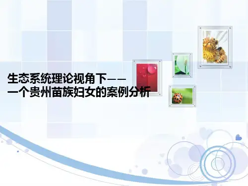生态系统视角下案例分析.