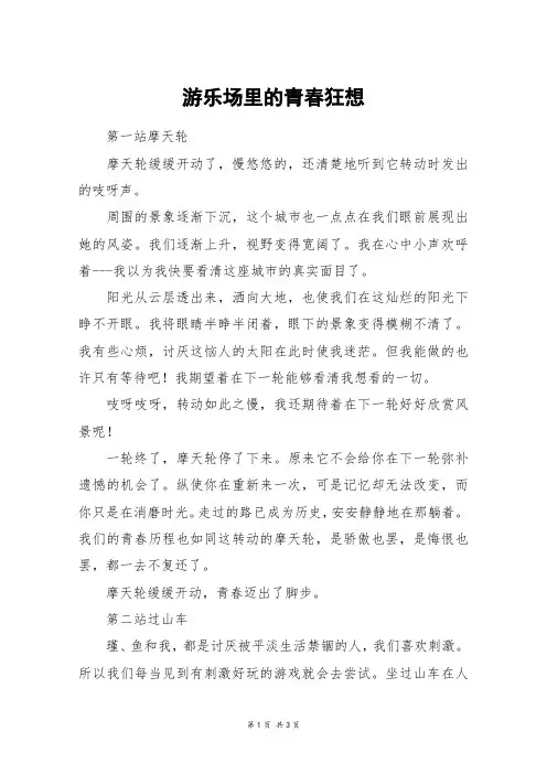 游乐场里的青春狂想_高二作文