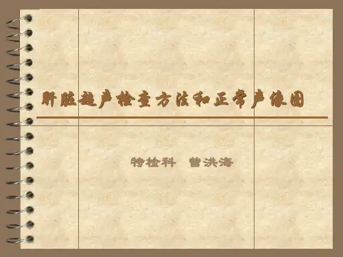 肝脏超声切面