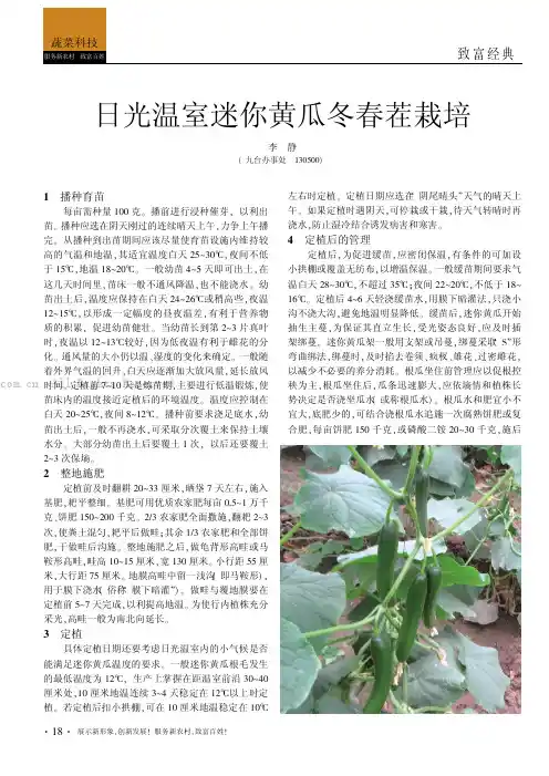日光温室迷你黄瓜冬春茬栽培