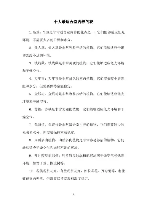 十大最适合室内养的花