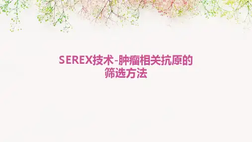 SEREX技术-肿瘤相关抗原的筛选方法