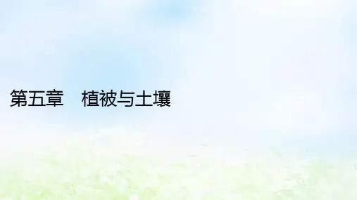 新教材2024版高中地理第5章：植被课件新人教版必修第一册