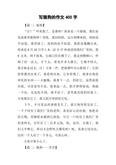 写狼狗的作文400字