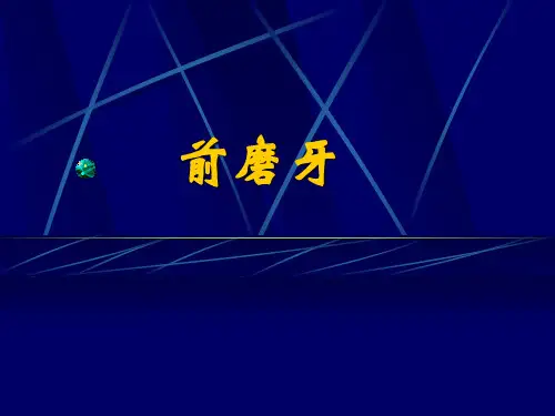 前磨牙