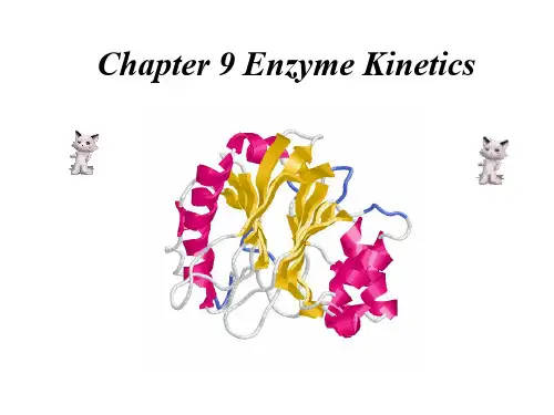 结构生物化学Chapter9 Enzyme kinetics