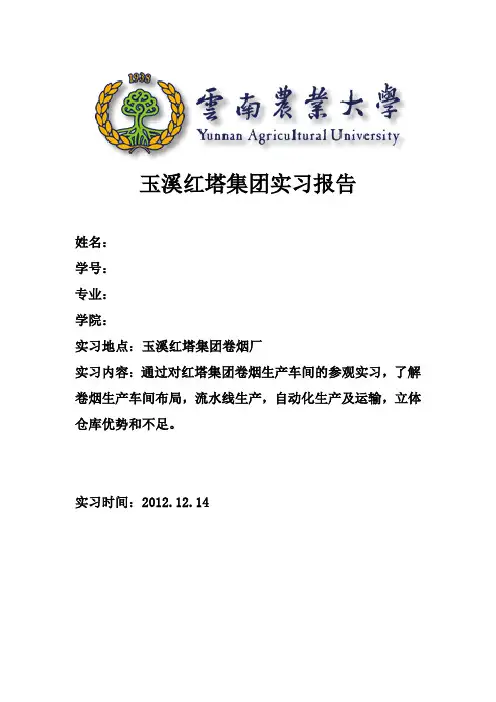 红塔集团实习报告