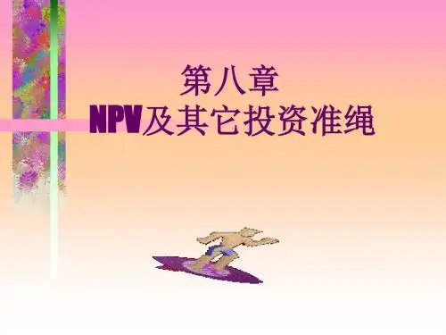 第八章 NPV及其它投资准绳-PPT文档资料