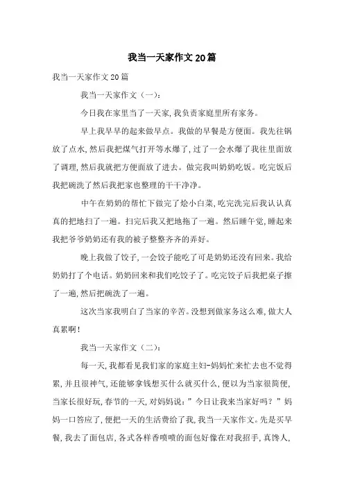 我当一天家作文20篇