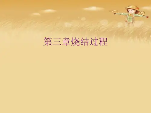 第三章烧结过程优秀课件