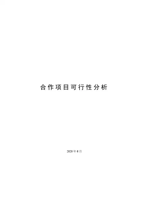 铁精粉合作项目可行性研究报告