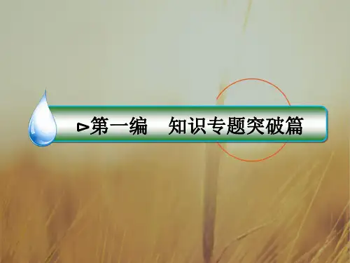 2018届高考语文二轮复习知识专题突破课件专题二 文言文阅读 绝招4