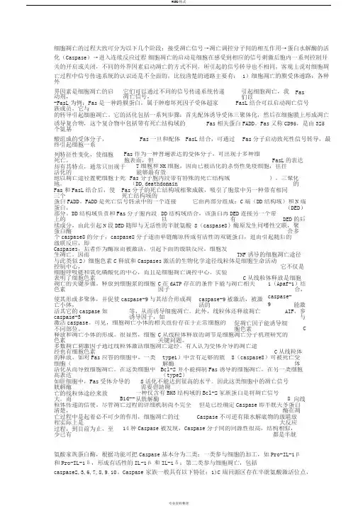 细胞凋亡过程