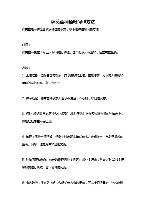 秋莴苣种植时间和方法