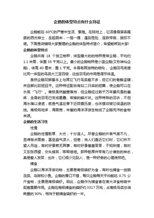 企鹅的体型特点有什么特征