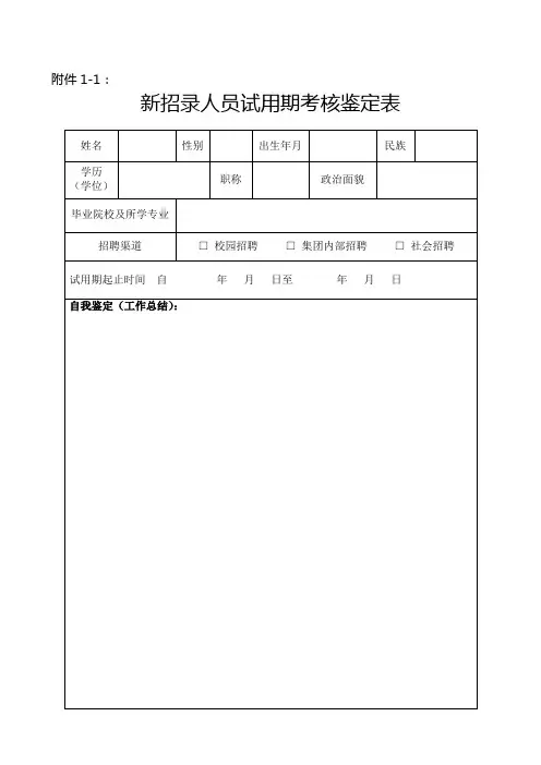 新招录人员试用期考核鉴定表