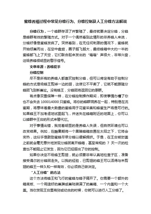 蜜蜂养殖过程中常见分蜂行为、分蜂控制及人工分蜂方法解说