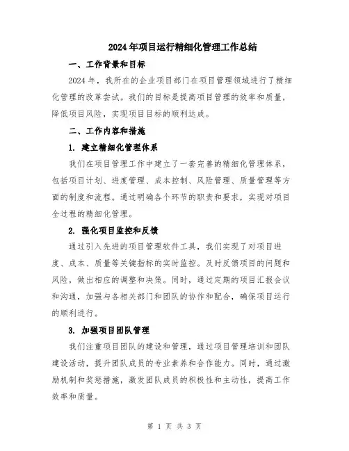 2024年项目运行精细化管理工作总结