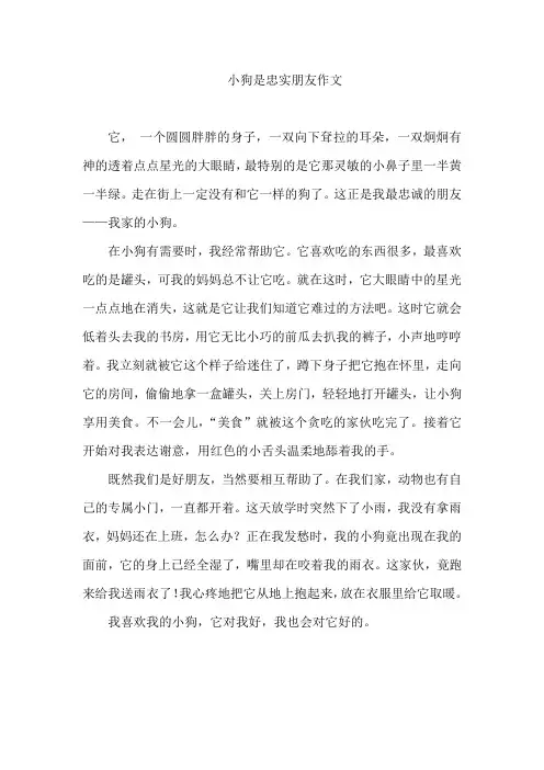 小狗是忠实朋友作文
