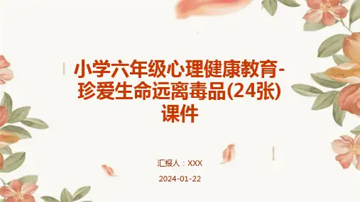 小学六年级心理健康教育-珍爱生命远离毒品(24张)课件