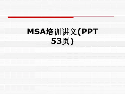 MSA培训讲义(PPT 53页)