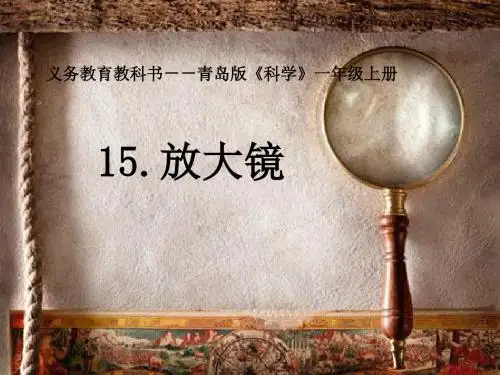 一年级科学上册第15课放大镜PPT课件1青岛版六三制