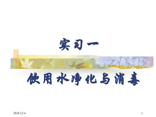 饮用水净化消毒
