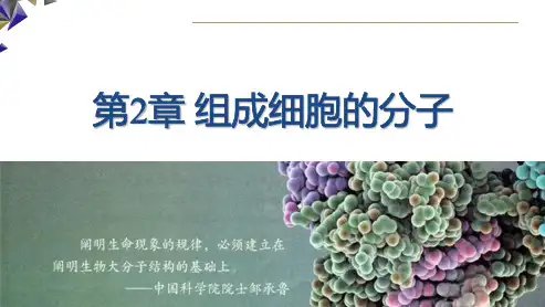 《 细胞中的糖类和脂质》精品课件